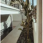 Rosemary Modern House In The Center Apartamento Corinto