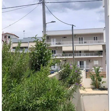 Rosemary Modern House In The Center