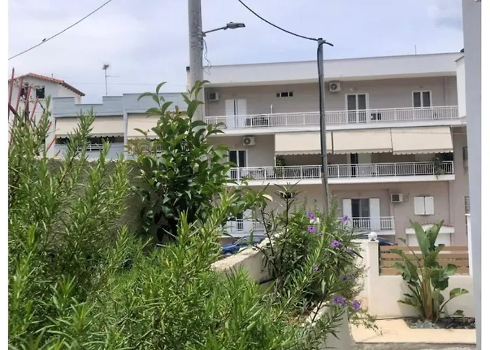 Rosemary Modern House In The Center